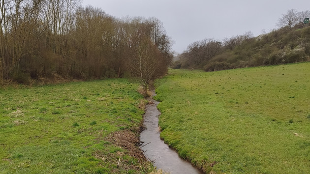 SGD Nord begutachtet Zustand des Nothbachs: Gewässer in ordnungsgemäßem Zustand