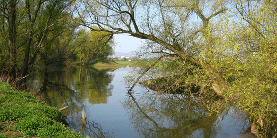 Abbildung zeigt eine Uferlandschaft - Mündung des Flusses Nette