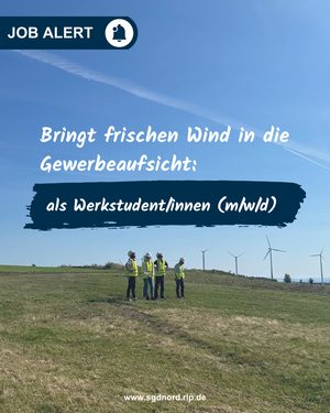 Vier Personen vor Windenergieanlagen