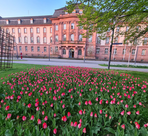 Historisches Dienstgebäude mit Tulpen im Vordergrund