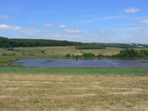 Naturschutzgebiet Sangweiher