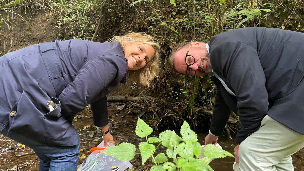 Eine Frau und ein Mann setzen Steinkrebse in einen Bach