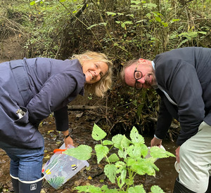 Eine Frau und ein Mann setzen Steinkrebse in einen Bach