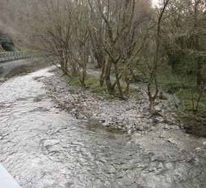 Bachlauf mit Uferbereich