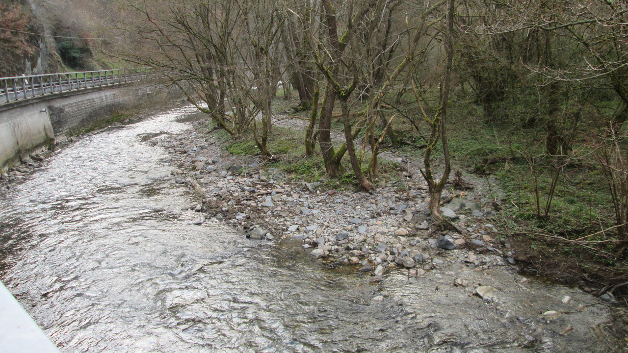 Bachlauf mit Uferbereich