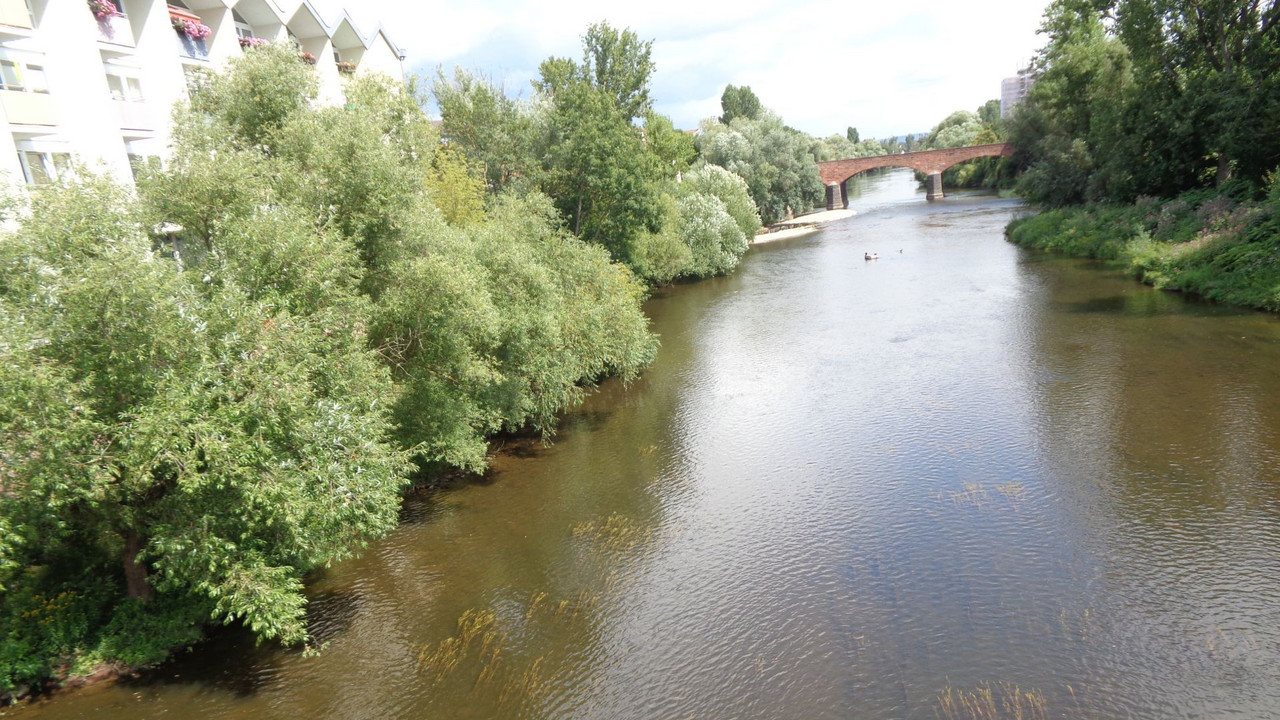Bewuchs und Verlauf der Nahe in Bad Kreuznach