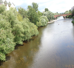 Bewuchs und Verlauf der Nahe in Bad Kreuznach