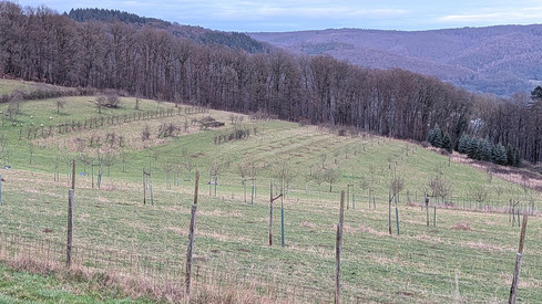 Für Mensch und Umwelt: SGD Nord förderte Naturparke im Jahr 2025 mit mehr als 1,3 Millionen Euro
