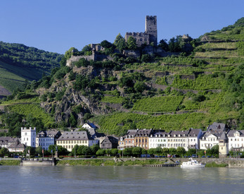 Rheinufer mit Burg Gutenfels