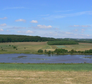 Naturschutzgebiet Sangweiher