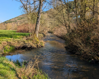 SGD Nord begutachtet Zustand des Adenauer Bachs: Gewässer in ordnungsgemäßem Zustand