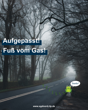 dunkle Landstraße mit Comic-Frosch