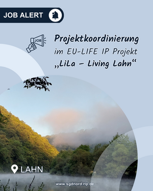 Foto von der Lahn
