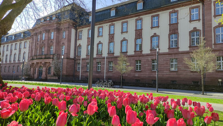 Historisches Dienstgebäude mit Tulpen im Vordergrund