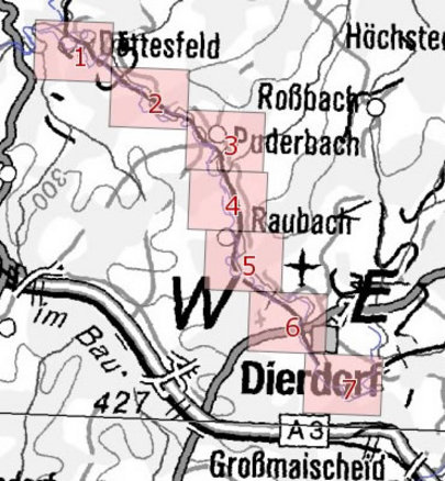 Die Karte zeigt die Überschwemmungsgebiete des Holzbachs