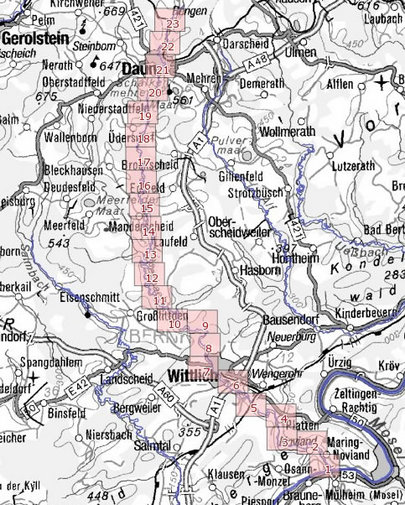 Die Karte zeigt die Überschwemmungsgebiete der Ortsgemeinde Lieser